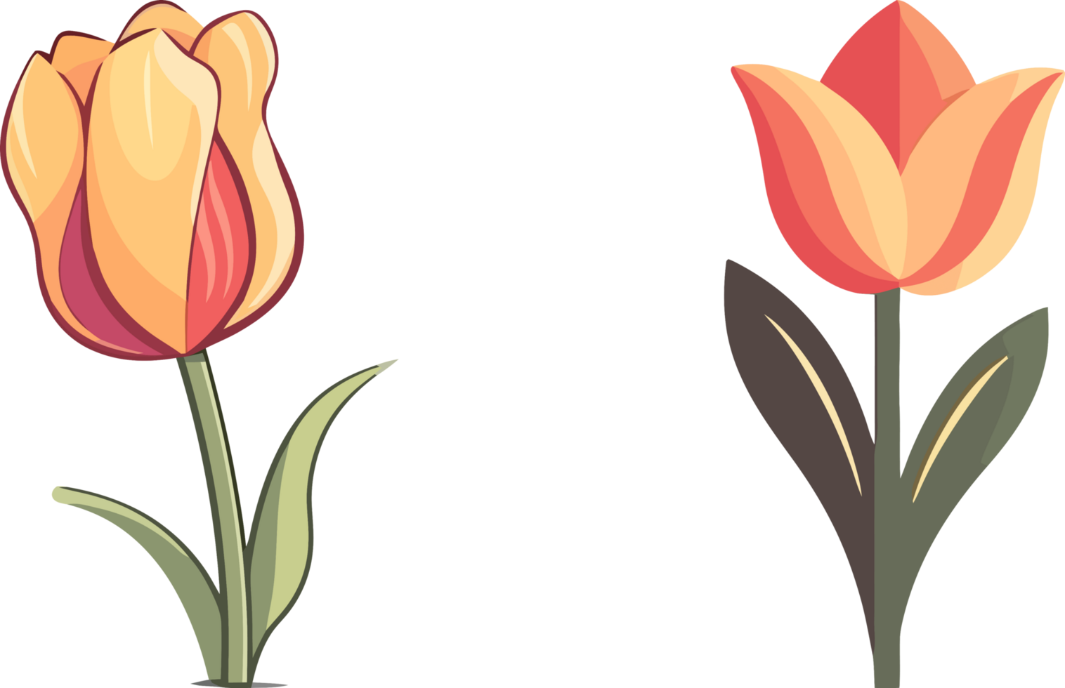 Botanical Beauty, Flat Color Tulip Art, AI Generated png