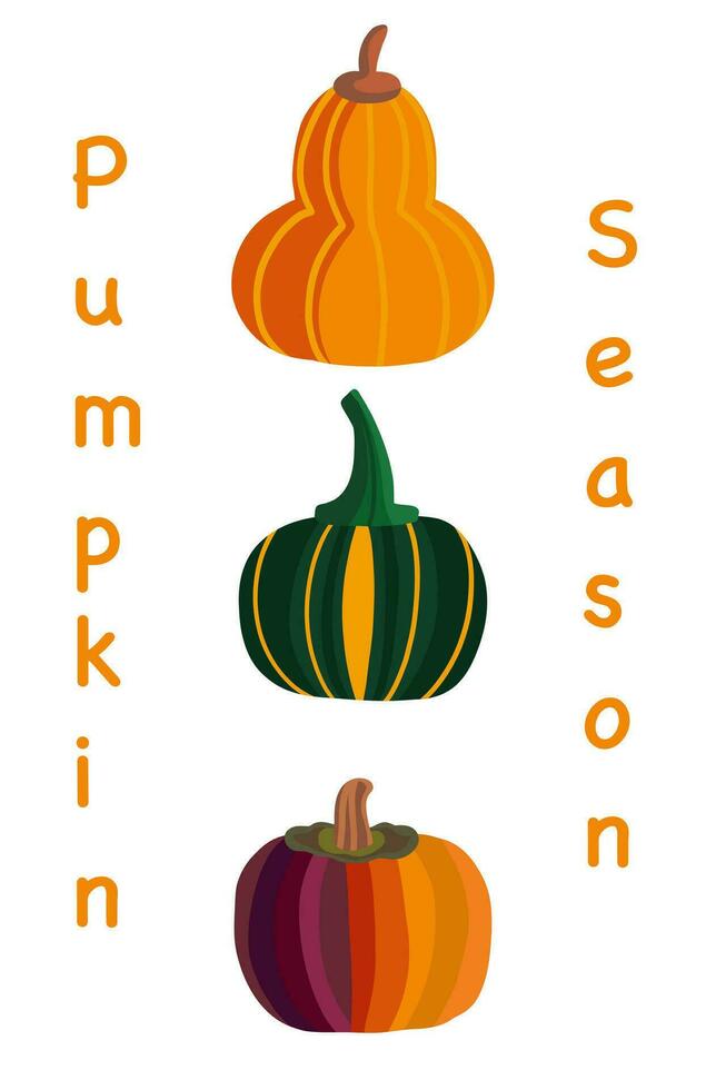 Autumn pumpkin set hand drawn vector three items
