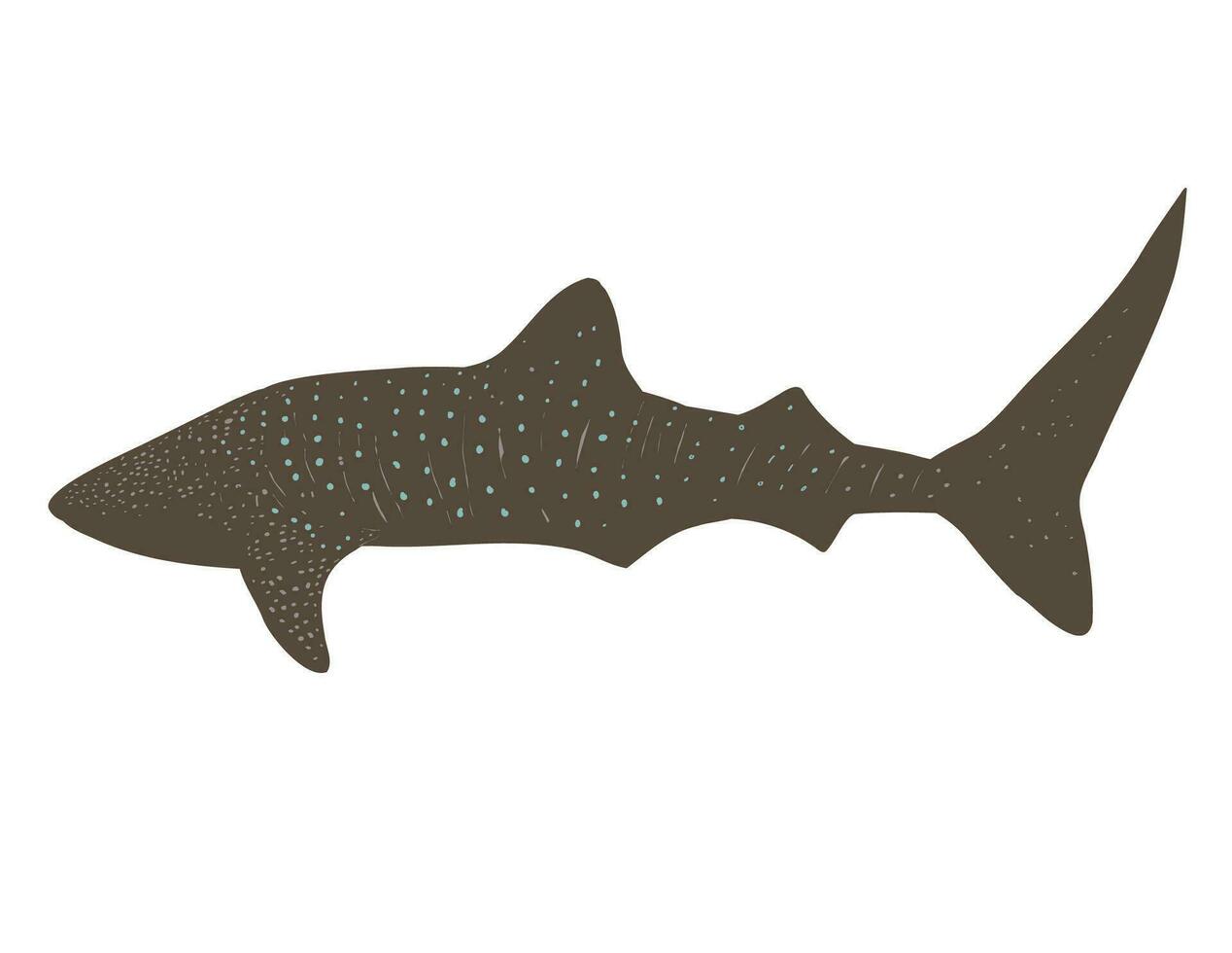 Whale Shark Swimming Side View WPA Art vector