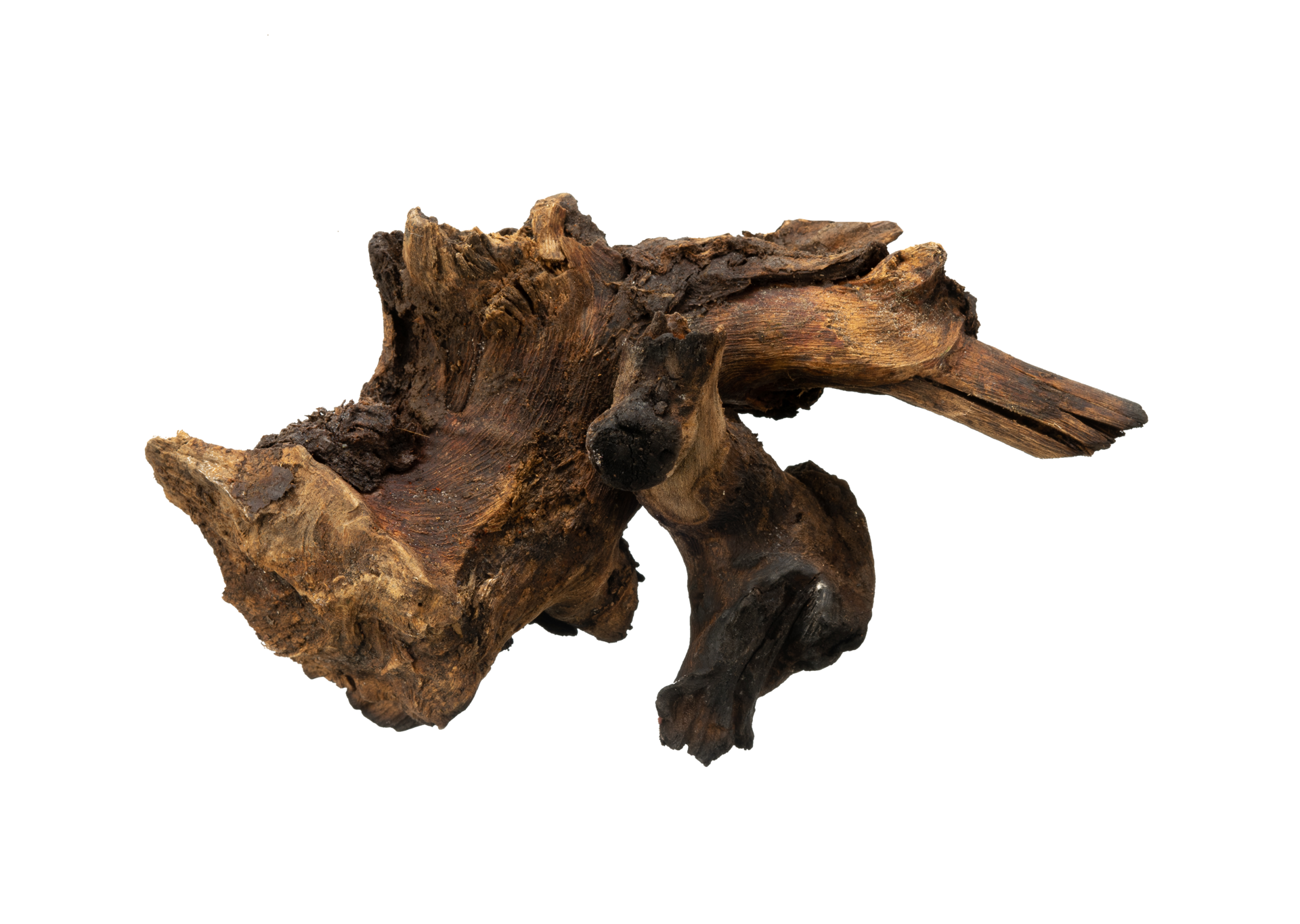 Artistic tree root ornament isolated 25254304 PNG