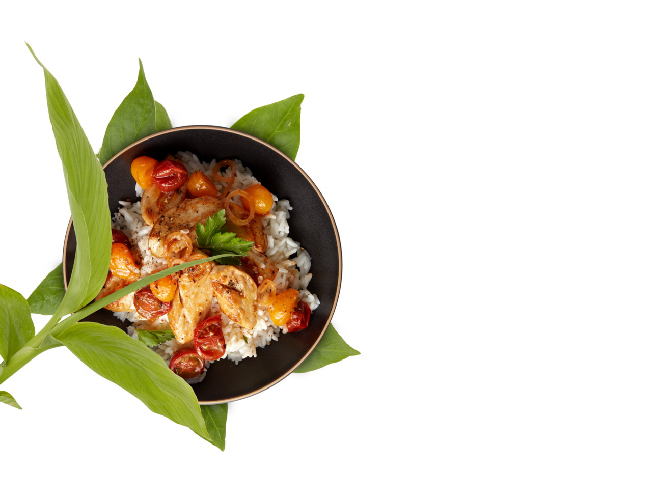 Breakfast rice on a ready-to-eat plate Cut out, isolated transparent background png