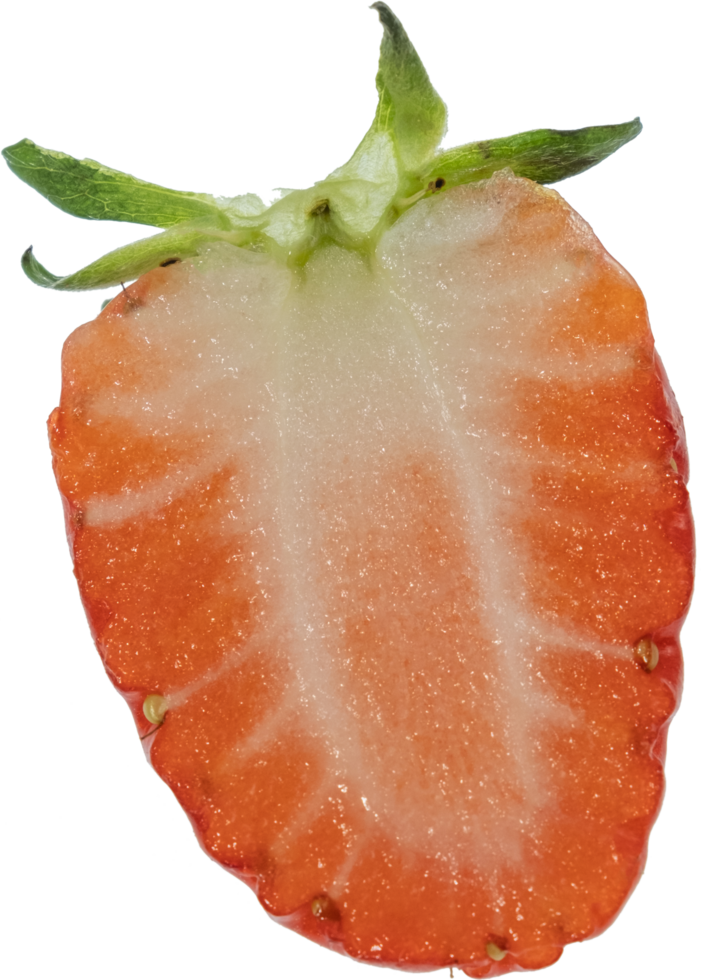 strawberry cut out on transparent background. png
