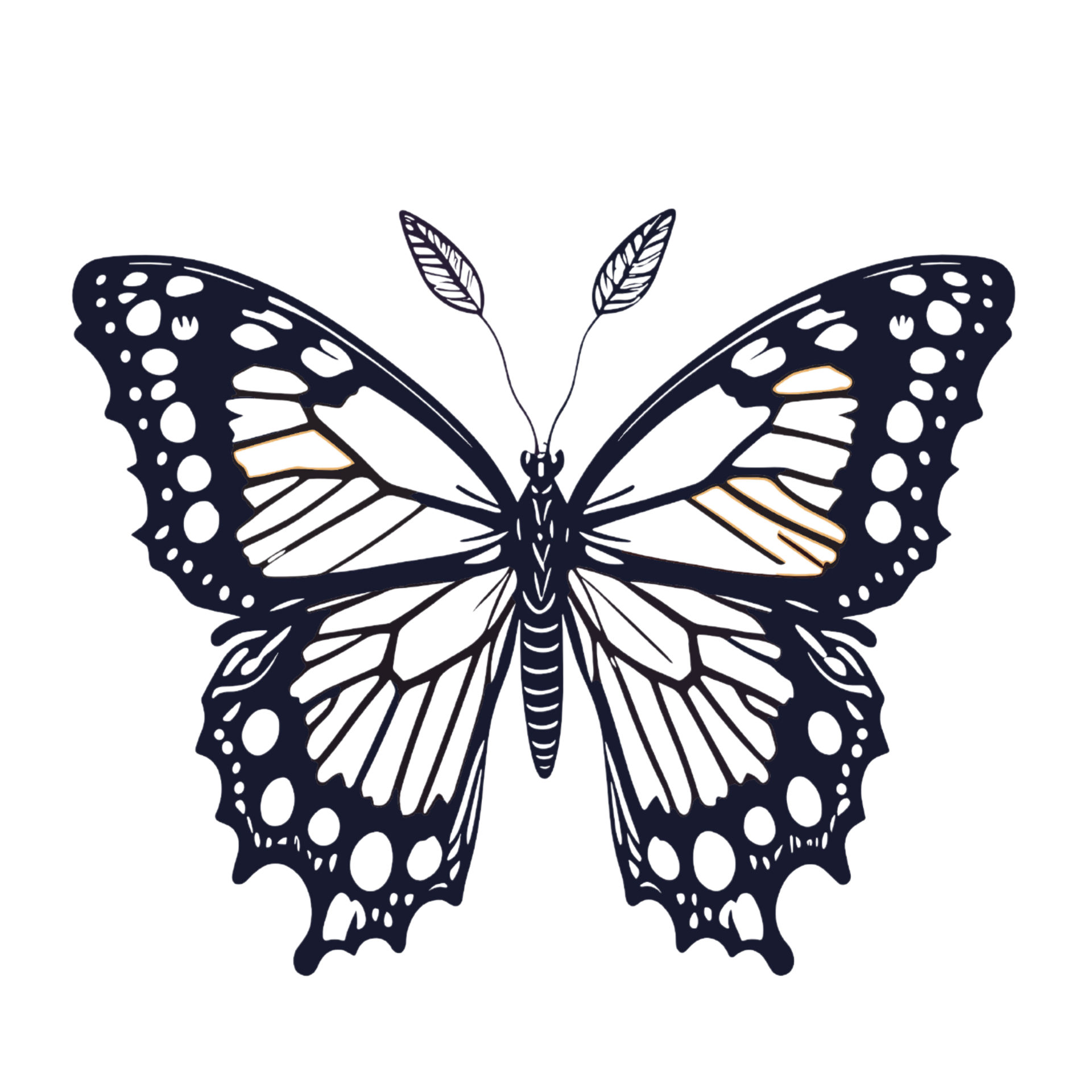 butterfly clipart, black butterfly on transparent background, butterfly