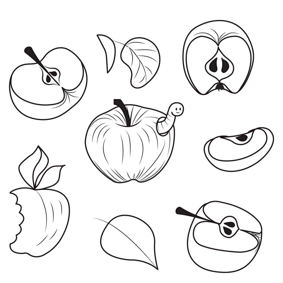 Apples and leaves. Set of simple icons of whole and cut fruits in doodle style. Vector illustration isolated on white background.