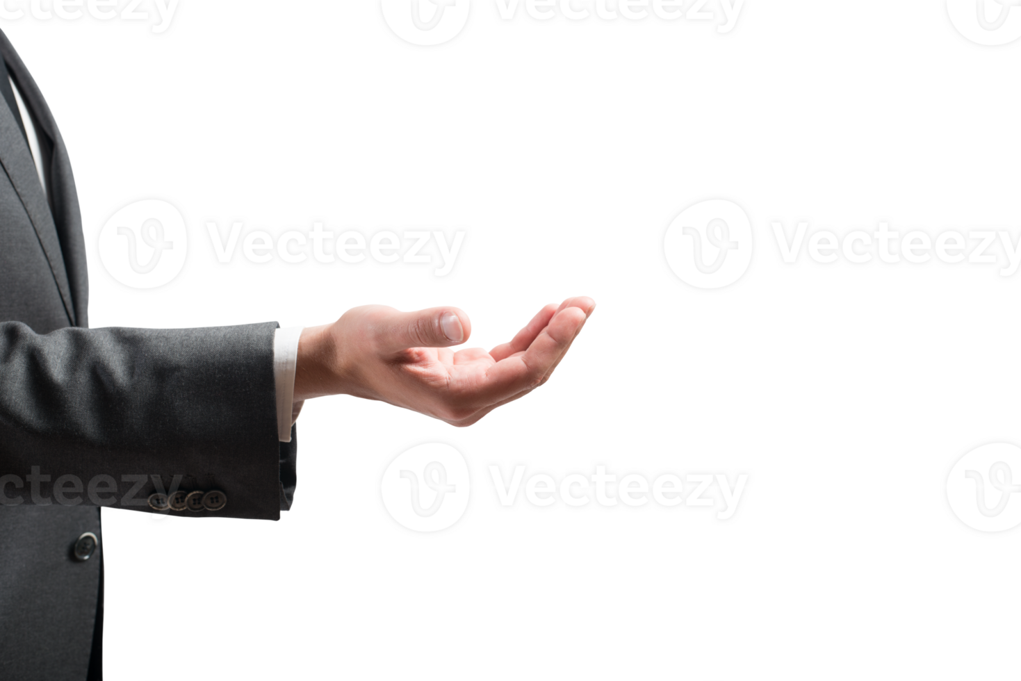 Business  person with elegant dress holds something in hand png