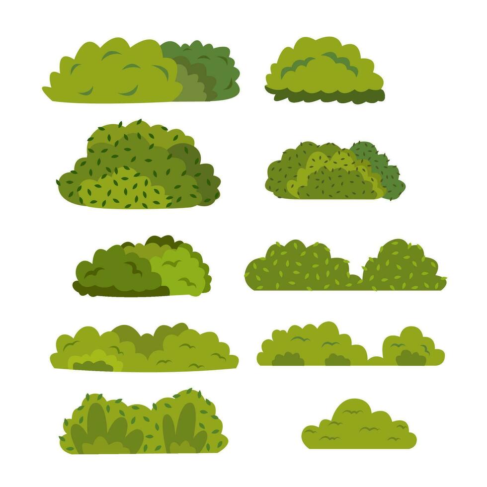 Set Of Flat Bush Illustration vector