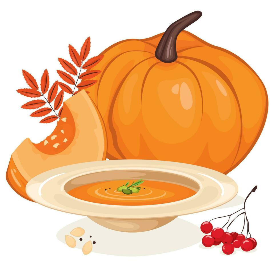 Pumpkin and pumpkin soup vector