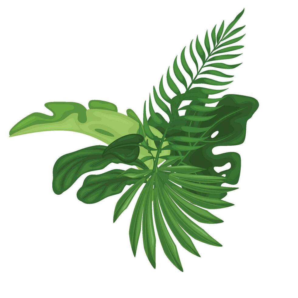 Green tropical leaves. vector