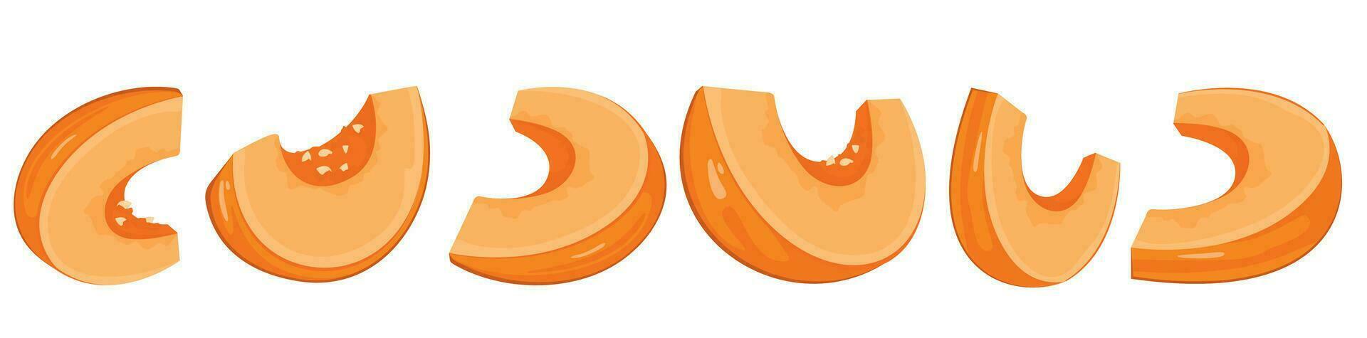 Pumpkin, set, pumpkin pieces vector