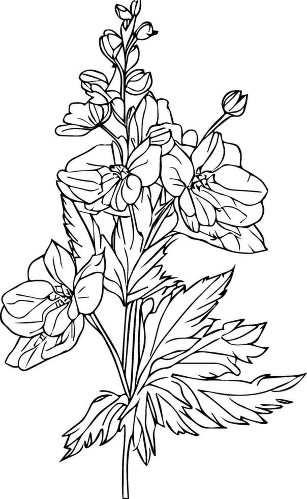 small minimalist larkspur tattoo, pencil delphinium drawing, outline larkspur flower drawing, larkspur line drawing, tattoo delphinium flower drawing, delphinium tattoo black and white, vector