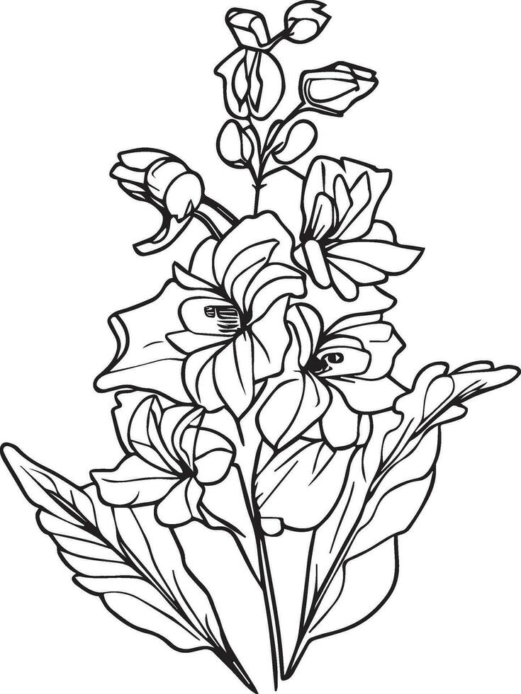 bosquejo de contorno espuela de caballero flor colorante libro mano dibujado vector ilustración artísticamente grabado tinta Arte florecer espuela de caballero flores aislado en blanco antecedentes acortar arte, espuela de caballero clipart.