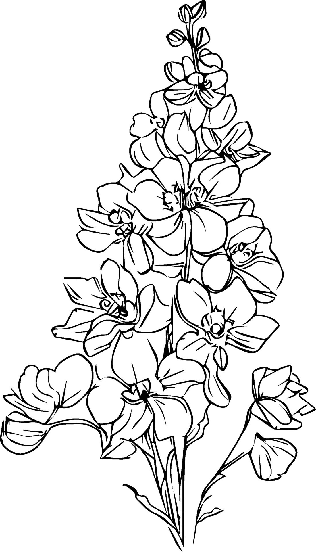 Handdrawn delphinium flower bouquet vector sketch illustration outline
