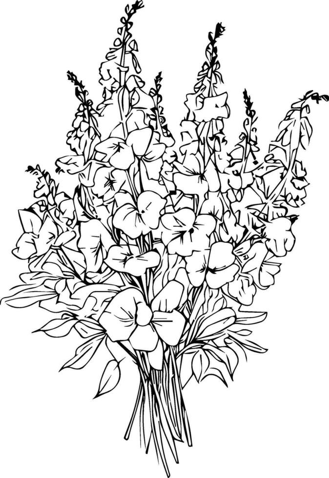 Bouquet of delphinium flower hand drawn pencil sketch coloring page and book for adults isolated on white background, , outline larkspur flower drawing tattooing, delphinium illustration ink art. vector