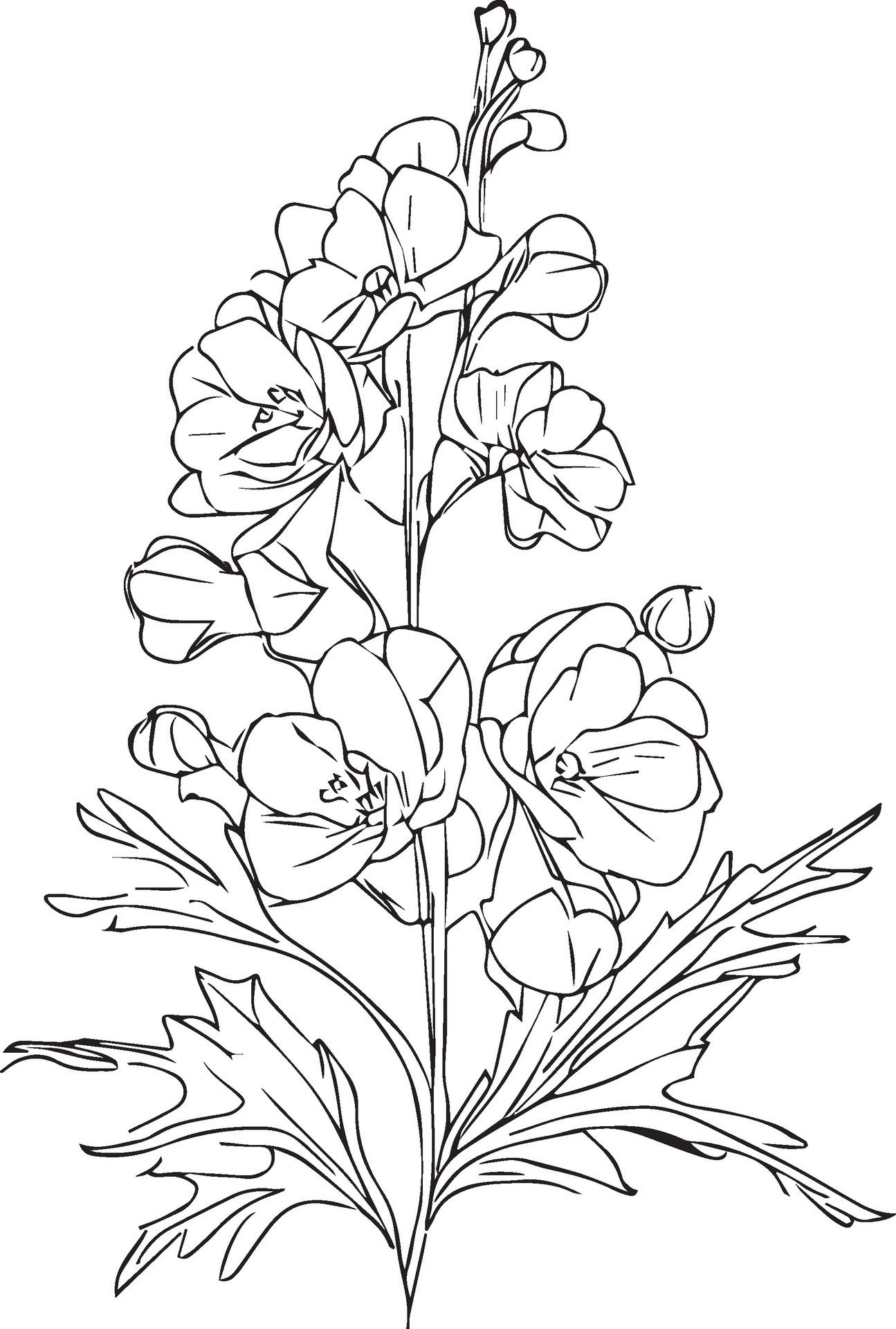 Minimalist July Birth Flower Larkspur Tattoo - zh6bori