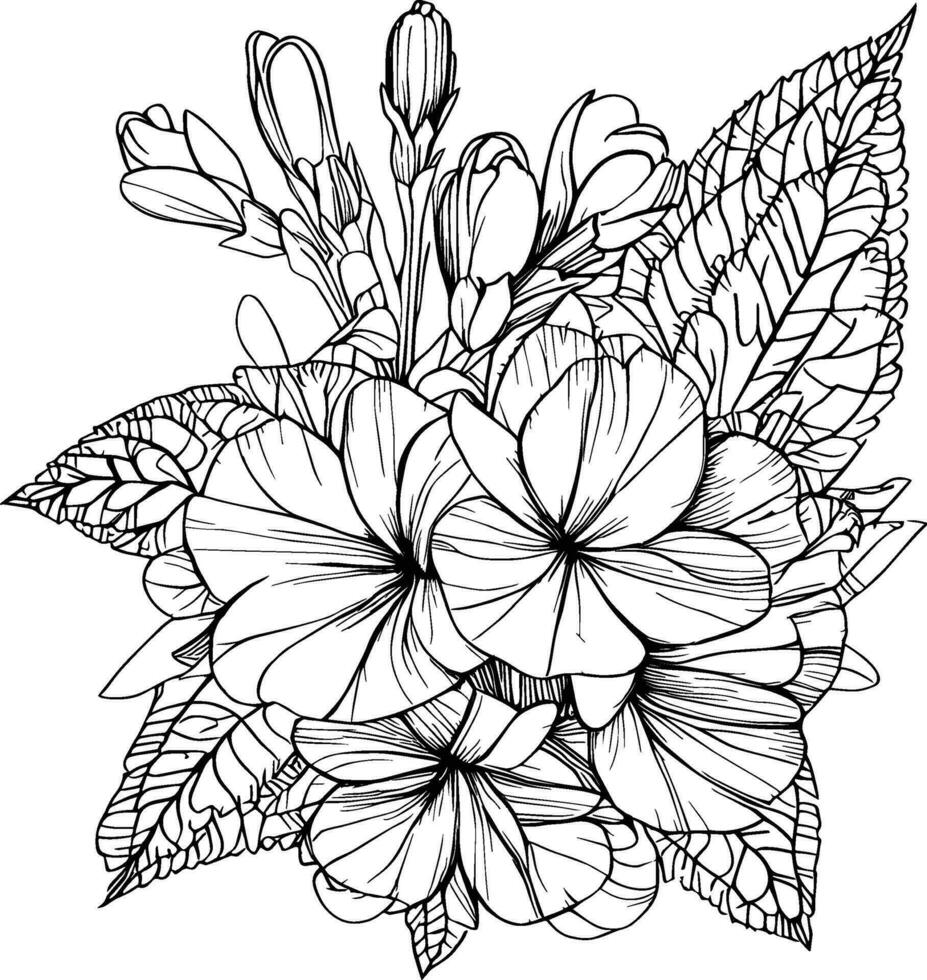 Hand-drawn primrose flower, primula flower bouquet, vector sketch illustration engraved ink art botanical leaf branch collection isolated on white background coloring page and books. primula line art.