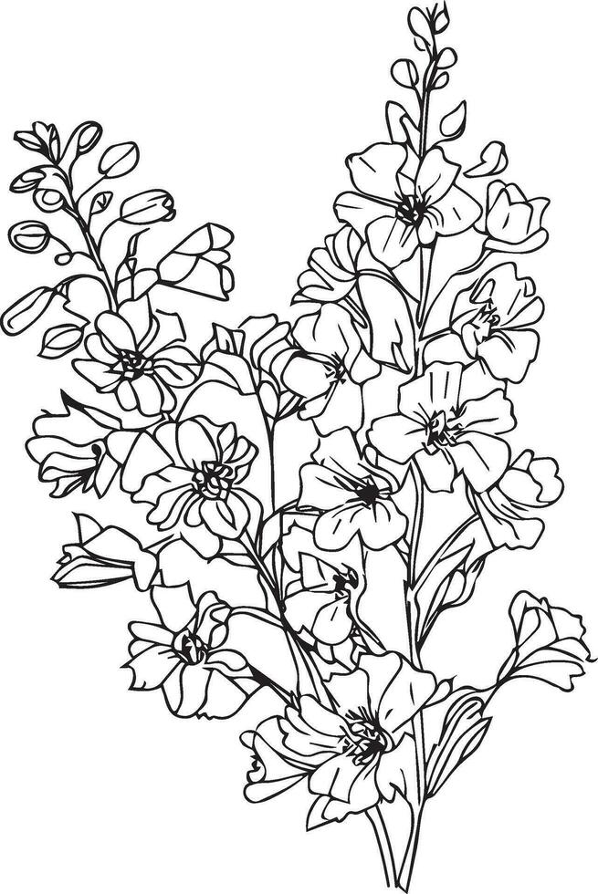 Delphinium flower line art, flower coloring pages for adult, pretty flower coloring pages, hand drawn larkspur flower, botanical delphinium black and white illustration, linework lite blue larkspur, vector