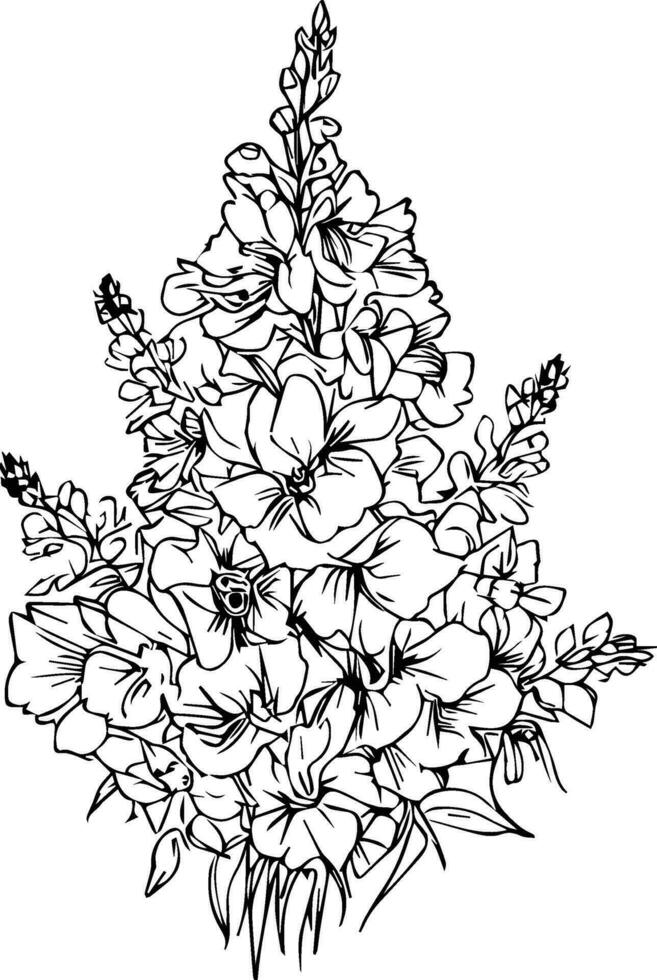 July bitht flower larkspur bouquet drawing, pencil delphinium drawing, outline larkspur flower drawing, larkspur line drawing. vector