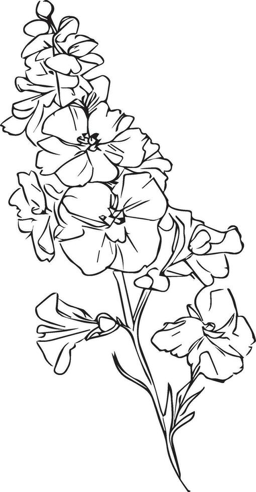 Small minimalist larkspur tattoo, pencil delphinium drawing, Isolated delphinium flower hand drawn vector sketch illustration, botanic collection branch of leaf buds natural collection coloring page .
