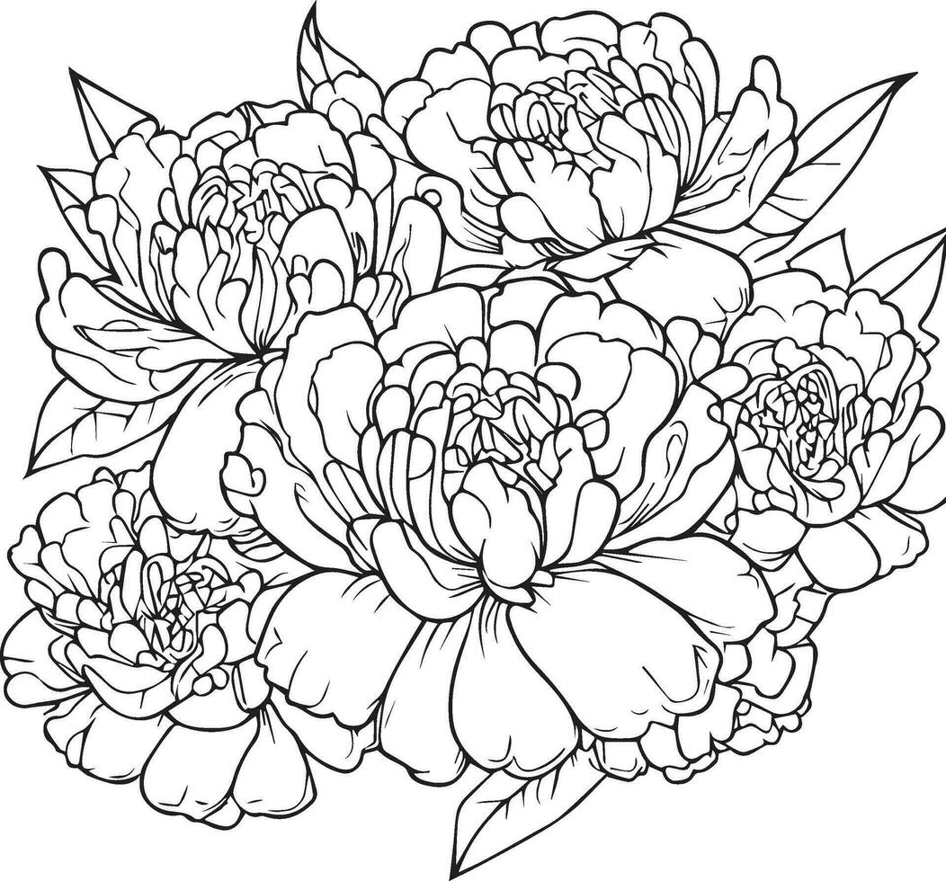 Hand-drawn rose flower, rose flower bouquet, vector sketch illustration engraved ink art botanical leaf branch collection isolated on white background coloring page and books. peony line art.