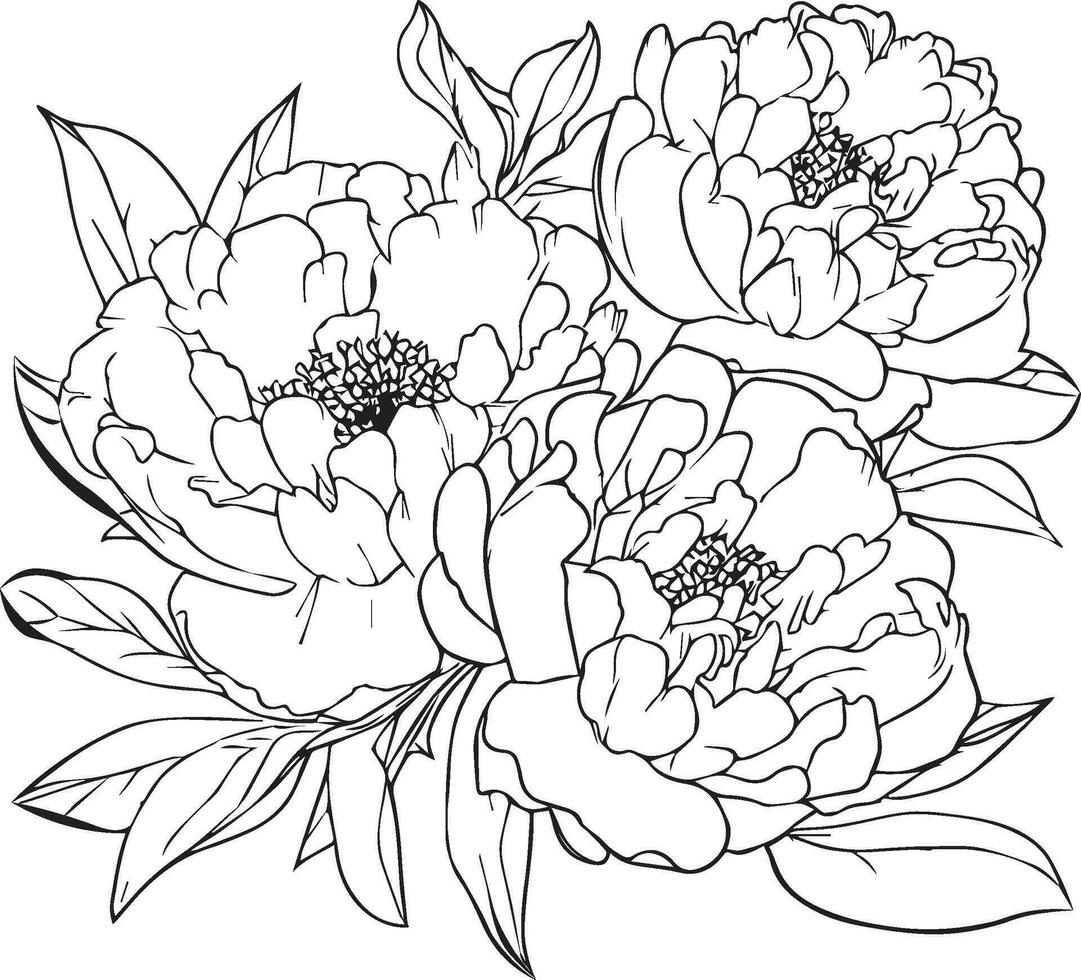 peony flower drawing, vector sketch hand drew illustration artistic, simplicity, coloring pages, printable peony flower coloring pages, flower coloring sheet, isolated on white background.