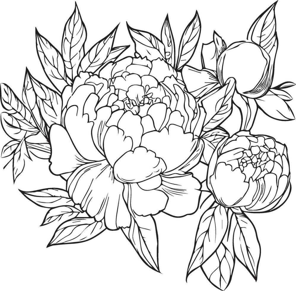 peony vector art, embellishment, artistic hand-drawn pencil sketch coloring page with blossom peony branches of leaf natural floral collection, engraved ink illustration, outline peony flower drawing.