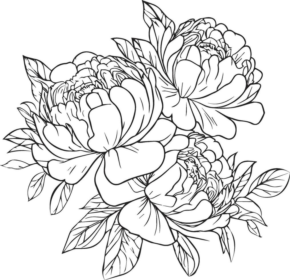 Wild flowers drawings, pepny flowers Set on the doodle art, coloring page vector sketch hand-drawn illustrations, and beautiful stocker element, Delicate Flowers Print. artistic flowers set.