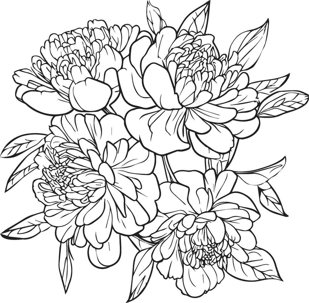 peony vector art, embellishment, artistic hand-drawn pencil sketch coloring page with blossom peony branches of leaf natural floral collection, engraved ink illustration, outline peony flower drawing.