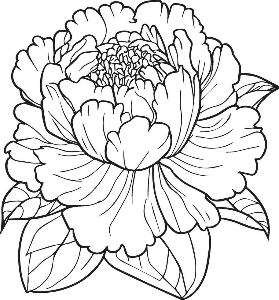 Wild flowers drawings, pepny flowers Set on the doodle art, coloring page vector sketch hand-drawn illustrations, and beautiful stocker element, Delicate Flowers Print. artistic flowers set.