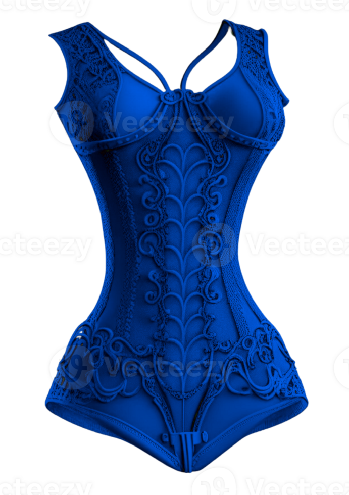 Fancy Corset Custom Colored png