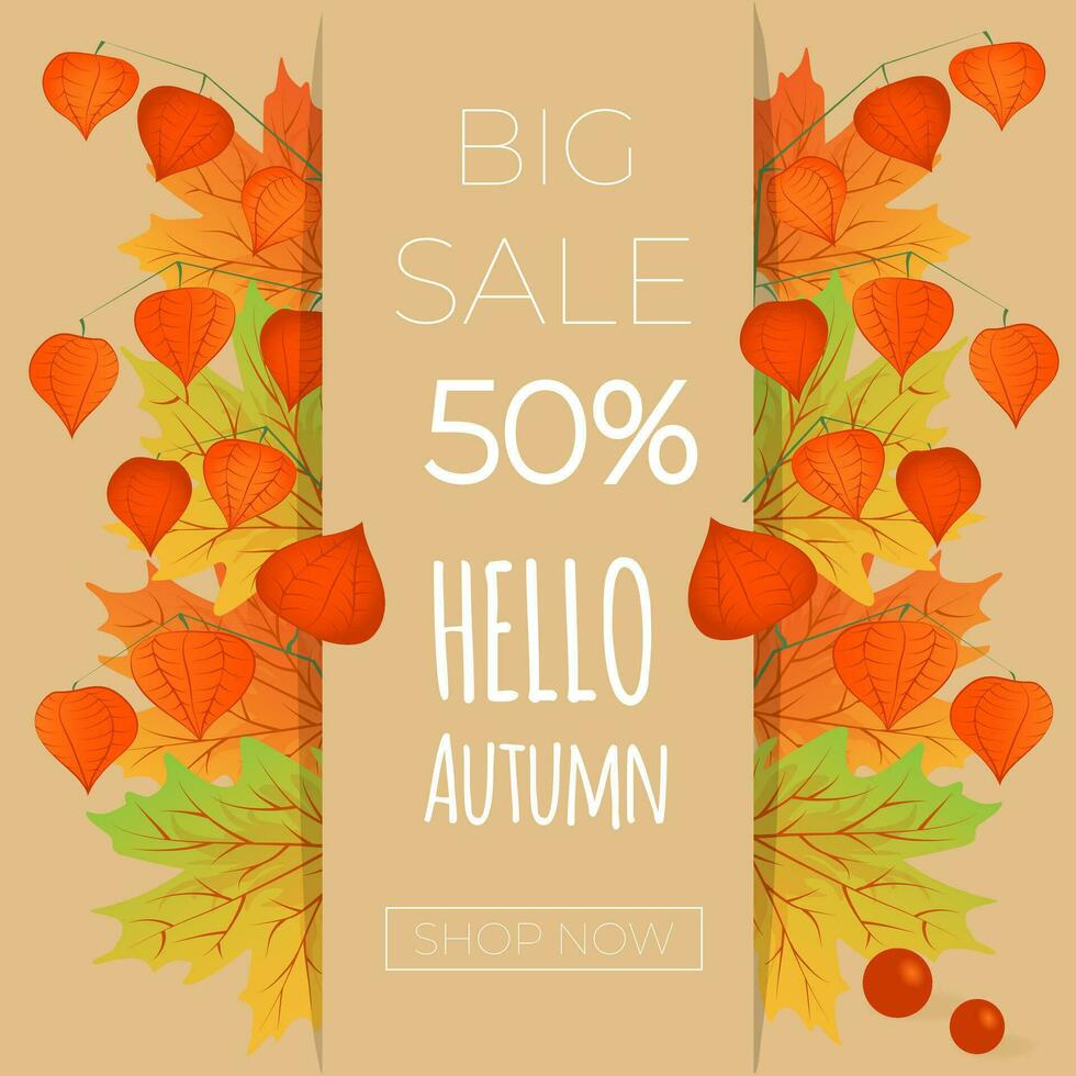 Autumn sale banner. Hello autumn. Autumn maple leaves with branch of physalis on beige background. vector