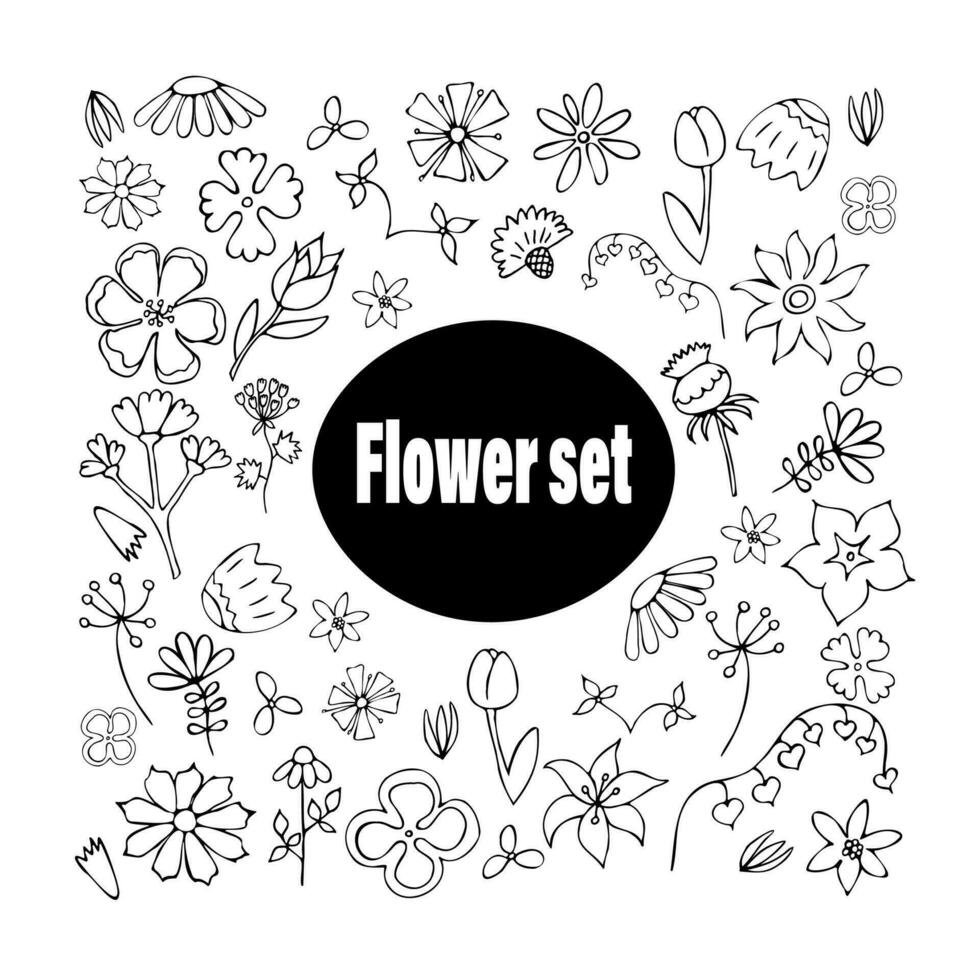 botanical hand drawn vector element. Collection or set of leaves, flowers, roses, lilies in line art. Minimalistic flower illustration design for logo, wedding, invitation, decor.