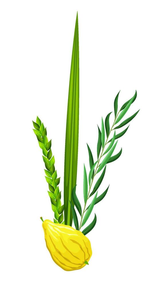 Traditional symbols of Sukkot is Etrog - citron, lulav - palm branch, hadas - myrtle, arava - willow. Festival of Ingathering or Feast of Tabernacles. Great for card, banner, poster, social media vector