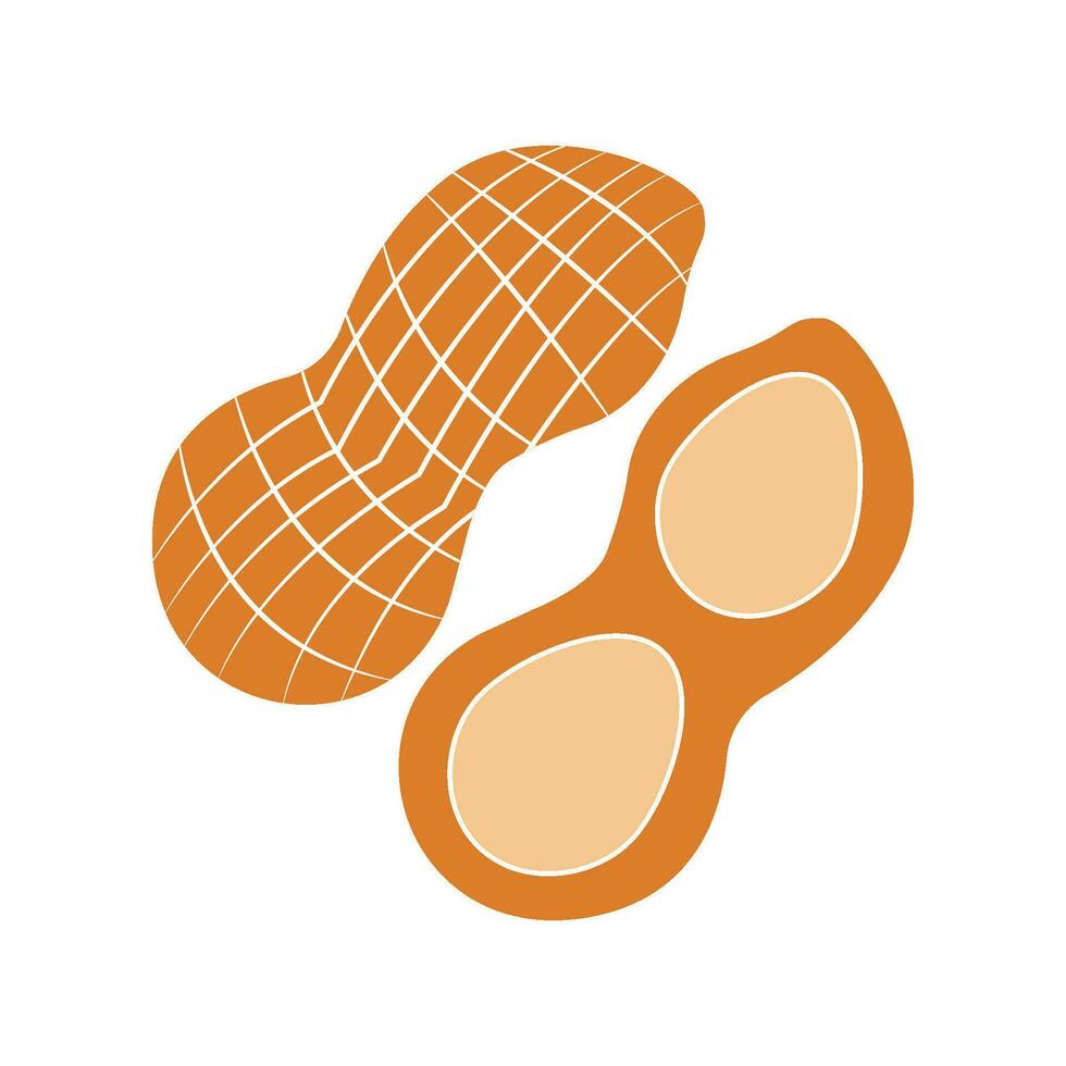 Peanut icon vector