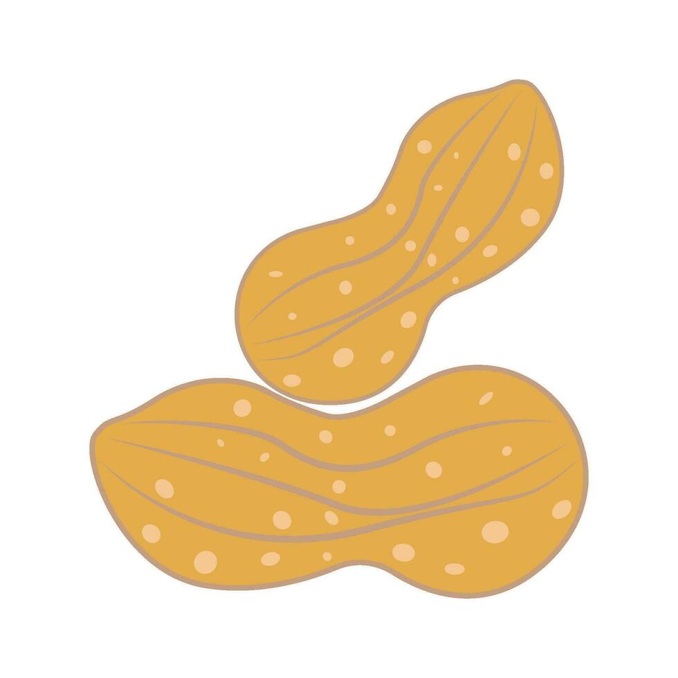 Peanut icon vector