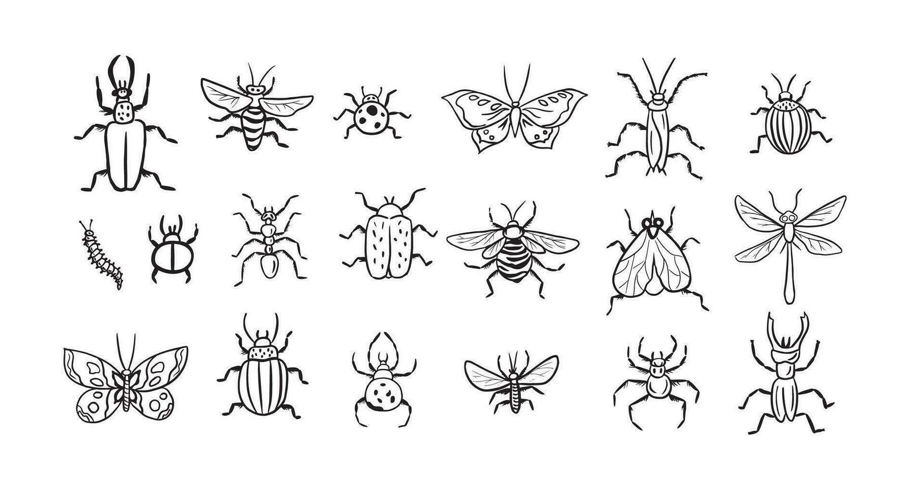 grande mano dibujado línea colección de insectos . insectos vector ilustración.