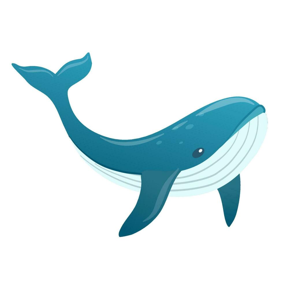 Vector cute blue whale isolated on white background
