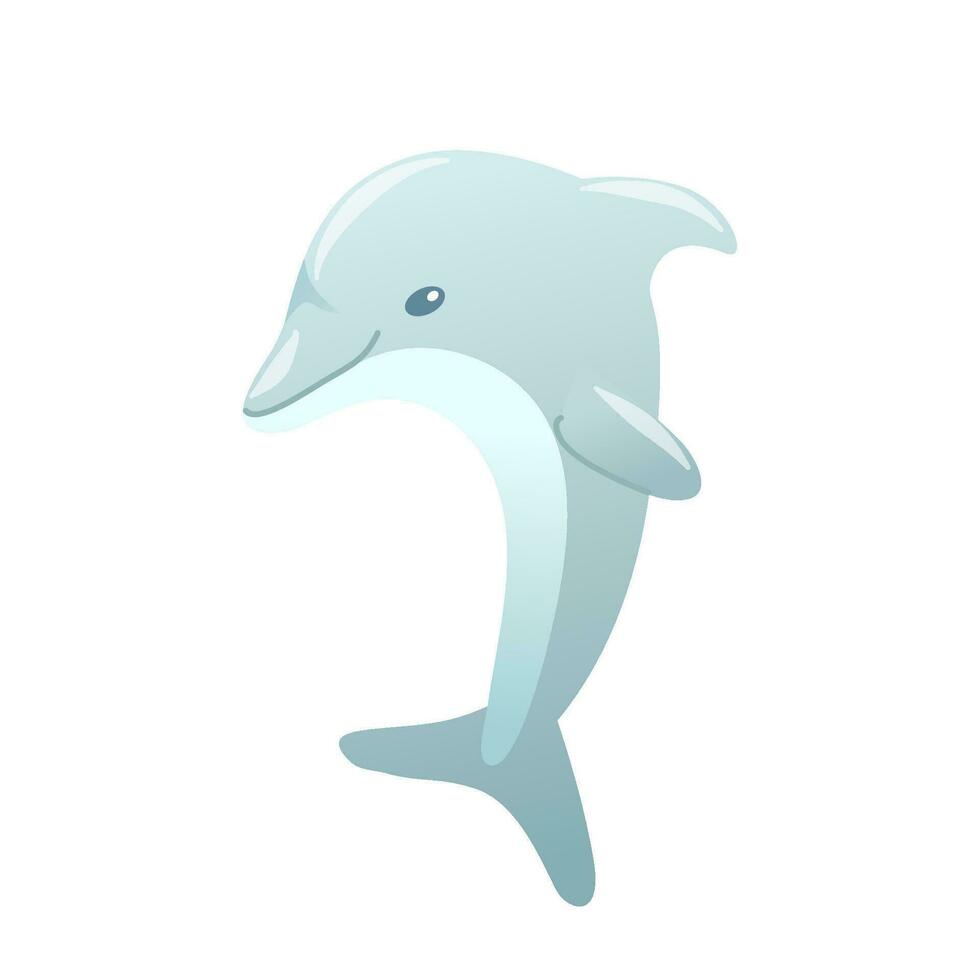 Vector illustration of a dolphin on a white background
