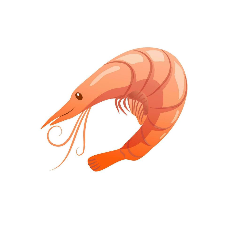 Vector illustration Shrimp icon in flat style, seafood. Isolated on white background.