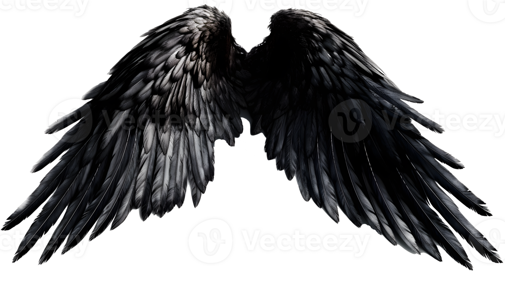 black angel wings ornament isolated on a transparent background , png