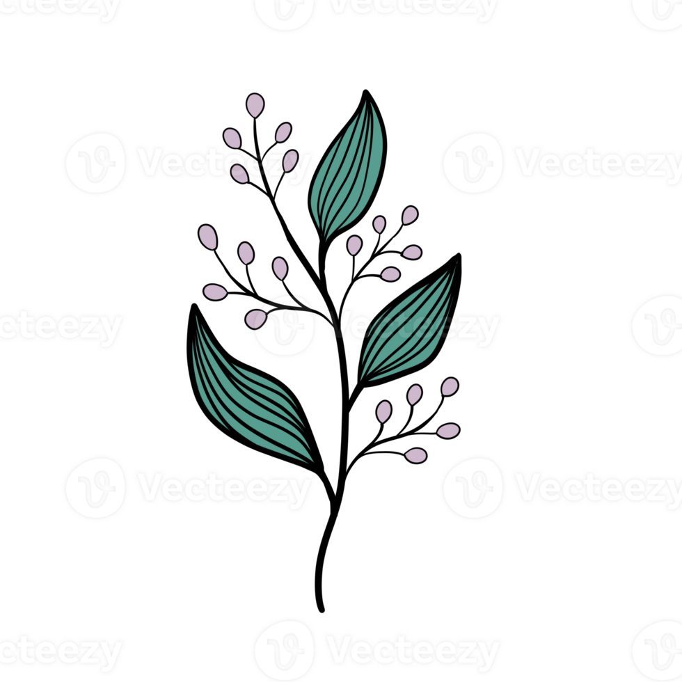 Hand Drawn Wild Flower Png