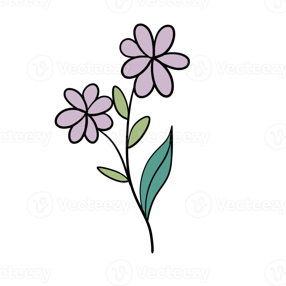 Hand Drawn Wild Flower Png