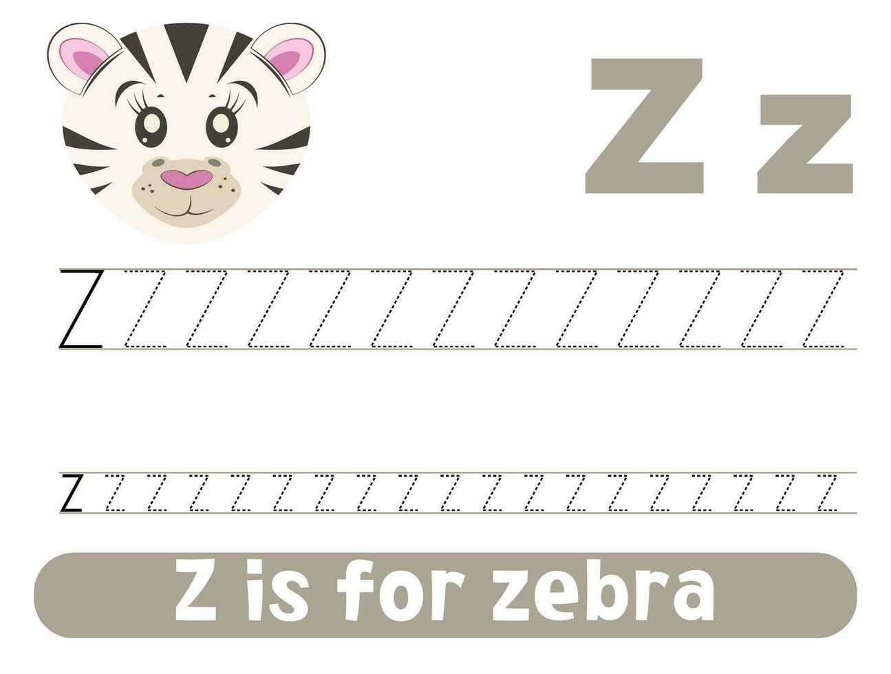 Tracing alphabet letter Z with cute zebra. Worksheet for children. vector