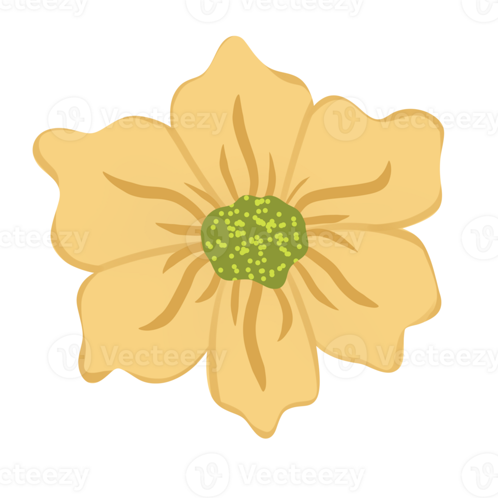 Hand gezeichnet wild Blume png