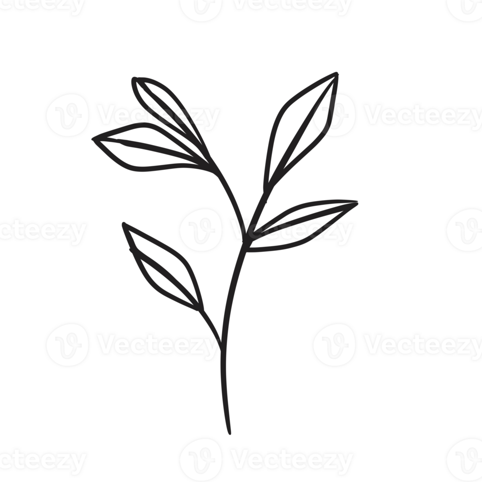 Hand Drawn Wild Flower Png