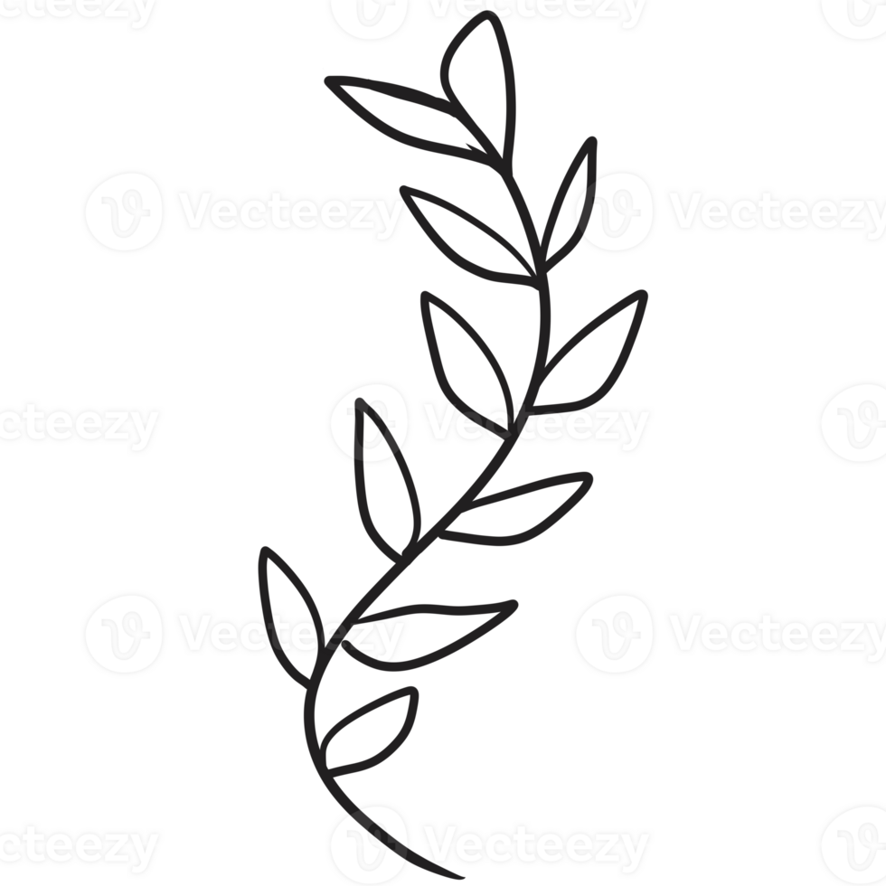 Hand Drawn Wild Flower Png