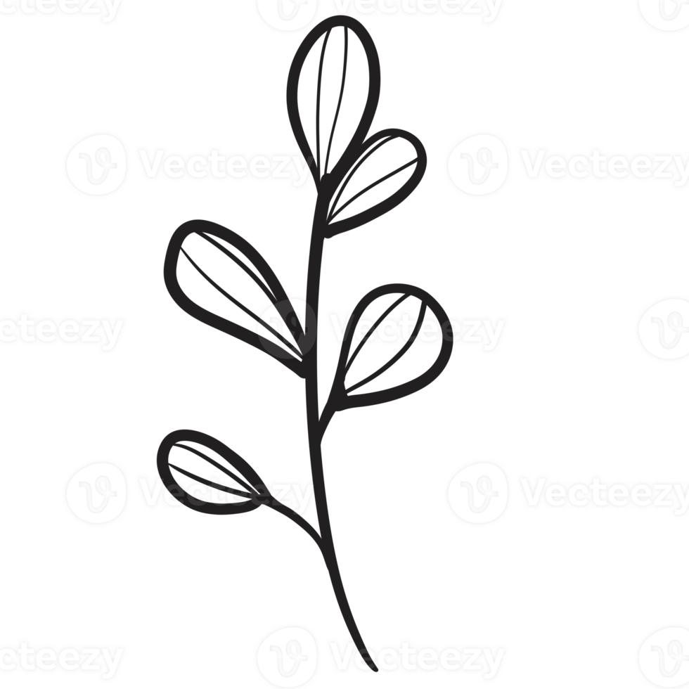 Hand Drawn Wild Flower Png