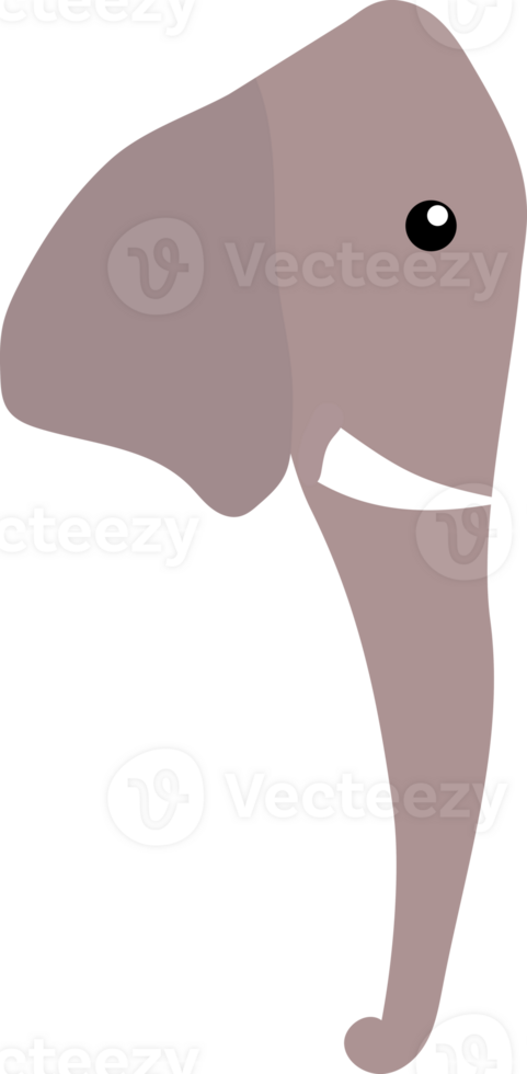 Elephant head illustration png