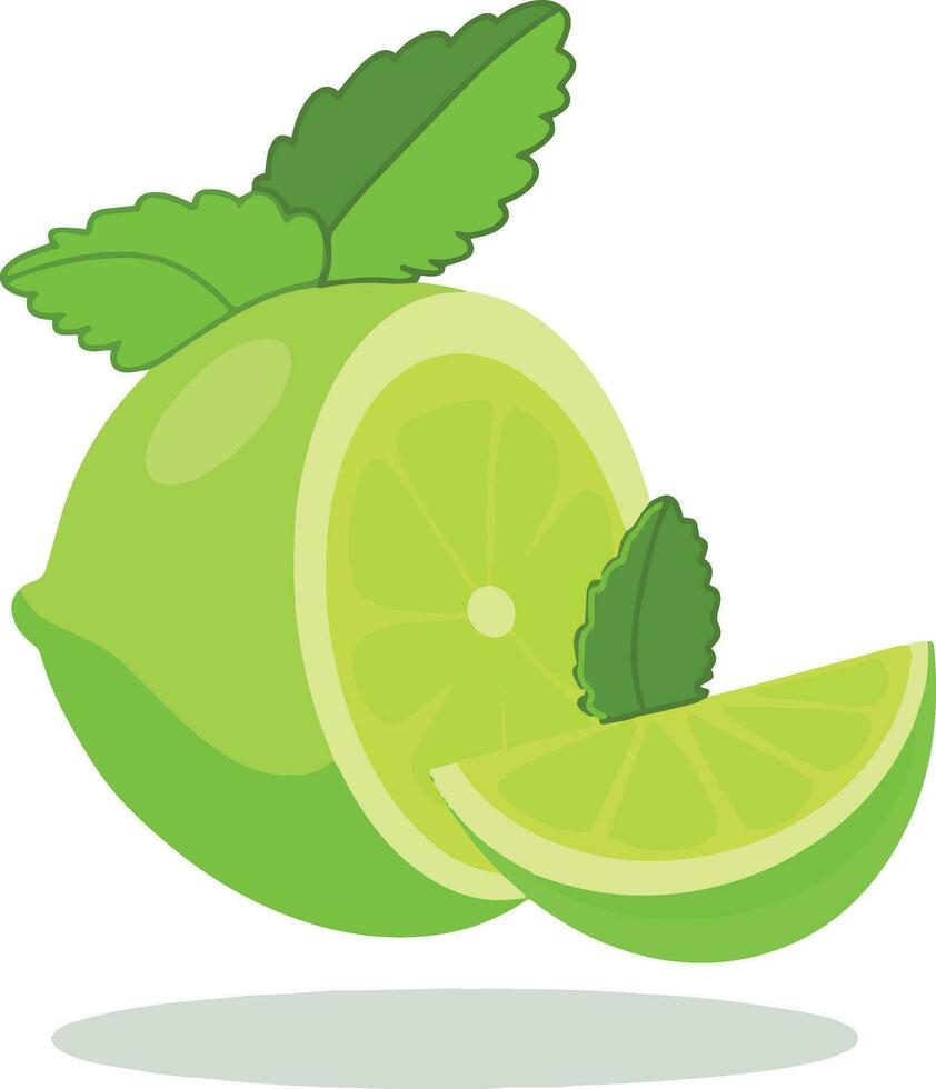 Lime summer illustration vector