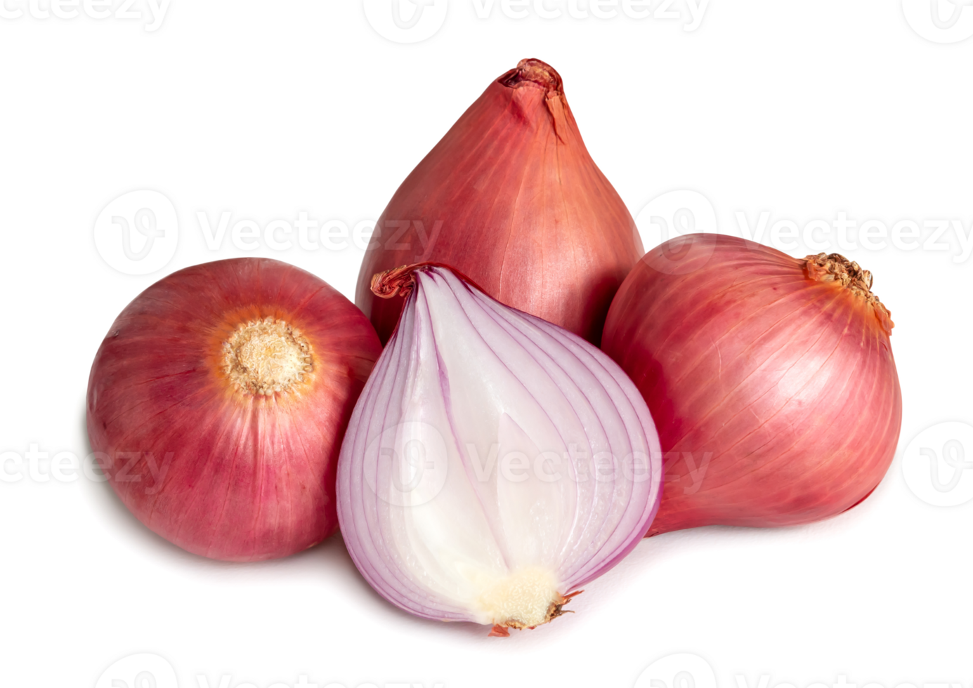 Fresh red onions with half isolated with clipping path. and shadow in png file format