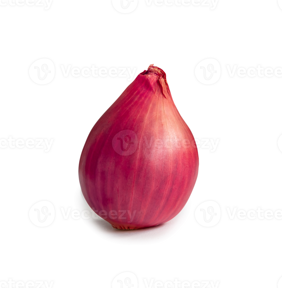 Single fresh red onion bulb in stack isolated with clipping path and shadow in png file format.